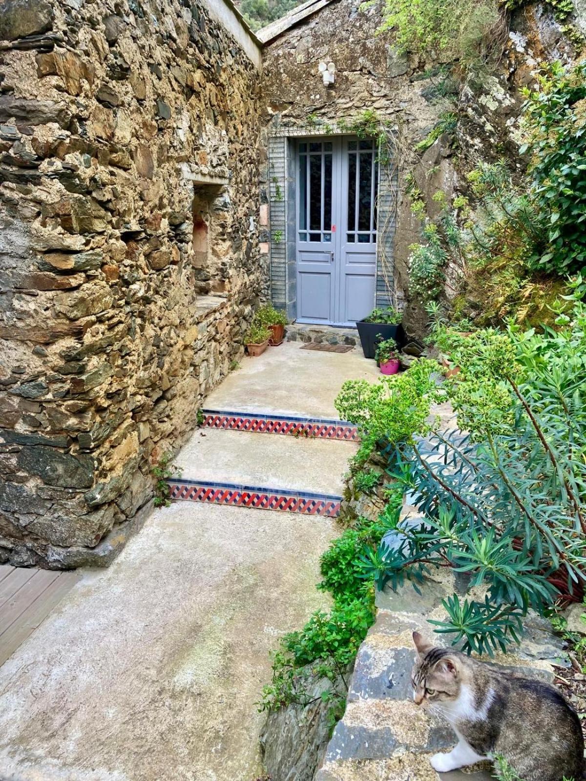 4 Star Cabaret Lastours 4 Chateaux Amazing Cathar Landmark Private Luxury 4 Star Air Conditioned Terrasse With Views المظهر الخارجي الصورة